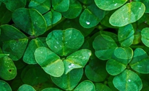 碳中和的主要概念